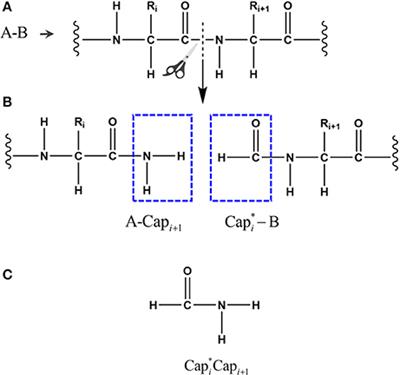 A Force Balanced Fragmentation Method for ab Initio Molecular Dynamic Simulation of Protein